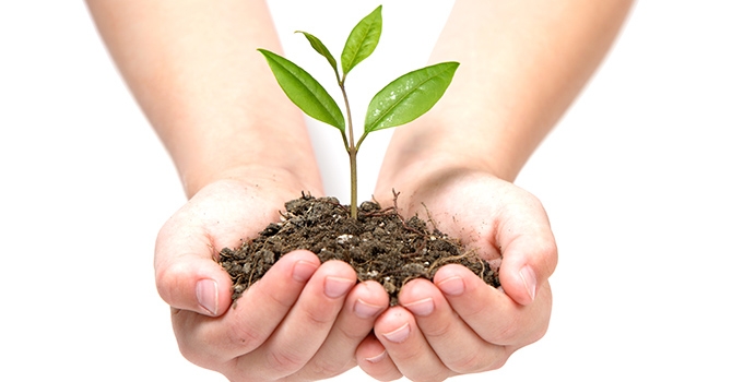 Naturalia-group-Philosophy About-us